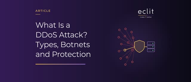 What Is a DDoS Attack? Types, Botnets and Protection